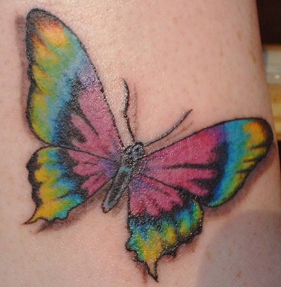 Butterfly Tattoo Galleries Butterfly Tattoo Design Galleries Female 